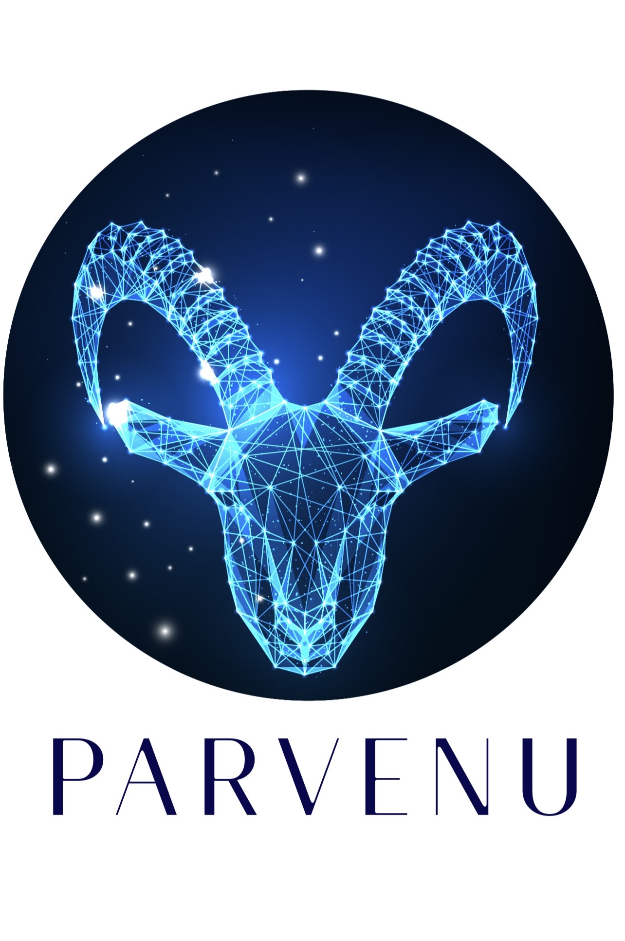 Parvenu Marketing