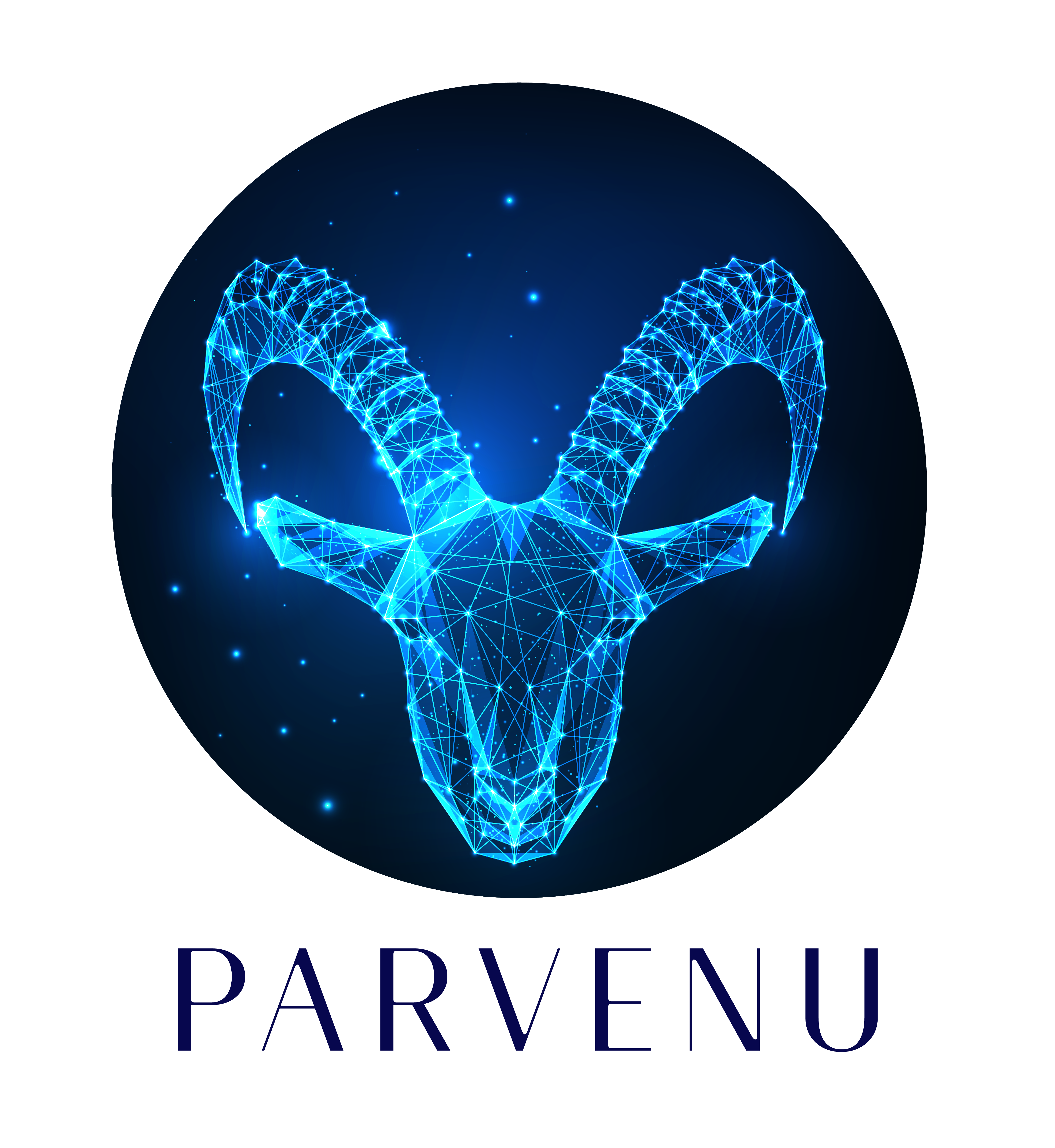 Parvenu Marketing